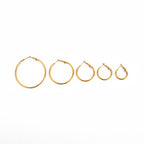 Ava Hoops