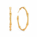 ALIÉA Sahara Hoops øreringe i 18K guldbelagt rustfrit stål med organisk bambus-inspireret design og blank finish.